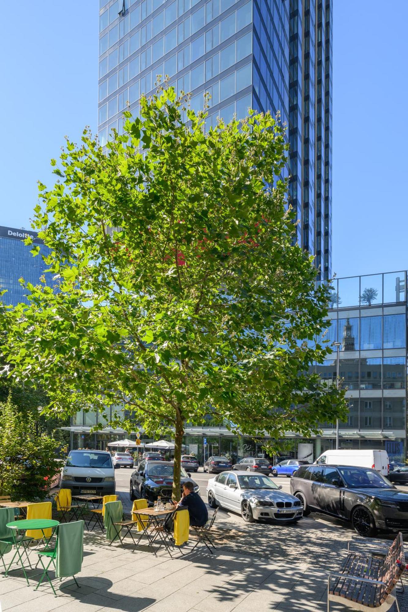 Ferienwohnung Apartament Centrum Twarda Warschau Exterior foto